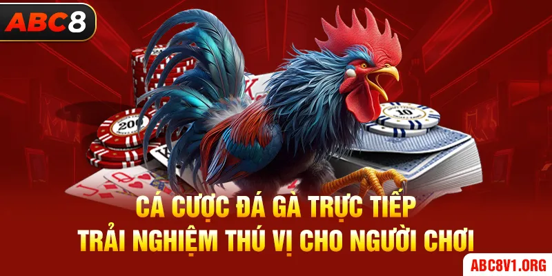 Cá Cược Đá Gà Trực Tiếp - Trải Nghiệm Thú Vị Cho Người Chơi