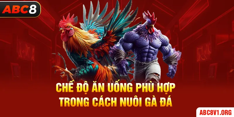 Chế Độ Ăn Uống Phù Hợp Trong Cách Nuôi Gà Đá